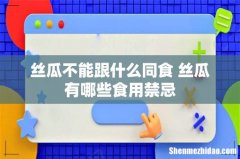 丝瓜不能跟什么同食 丝瓜有哪些食用禁忌