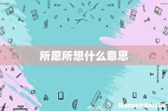 所愿所想什么意思