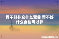 胃不好补充什么营养 胃不好什么食物可以养