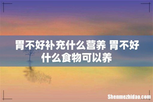 胃不好补充什么营养 胃不好什么食物可以养
