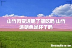山竹肉变透明了能吃吗 山竹透明色是坏了吗