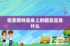 佐菲奥特曼身上的圆豆豆是什么
