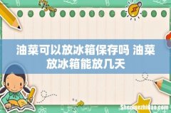 油菜可以放冰箱保存吗 油菜放冰箱能放几天
