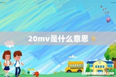 20mv是什么意思