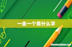 一金一个易什么字