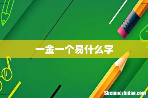 一金一个易什么字