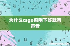 为什么csgo包刚下好就有声音
