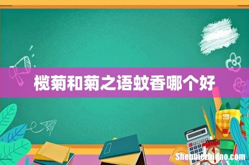 榄菊和菊之语蚊香哪个好