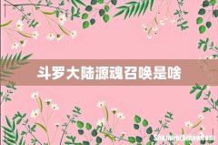 斗罗大陆源魂召唤是啥