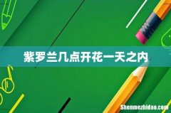 紫罗兰几点开花一天之内