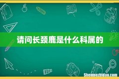 请问长颈鹿是什么科属的