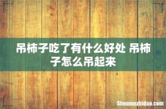 吊柿子吃了有什么好处 吊柿子怎么吊起来
