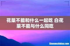 花菜不能和什么一起吃 白花菜不能与什么同吃