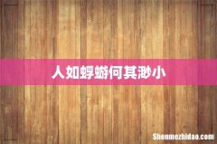 人如蜉蝣何其渺小