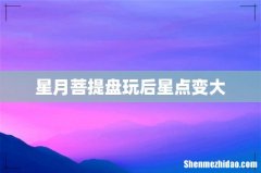星月菩提盘玩后星点变大