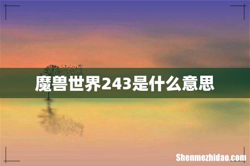 魔兽世界243是什么意思