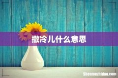 撒冷儿什么意思