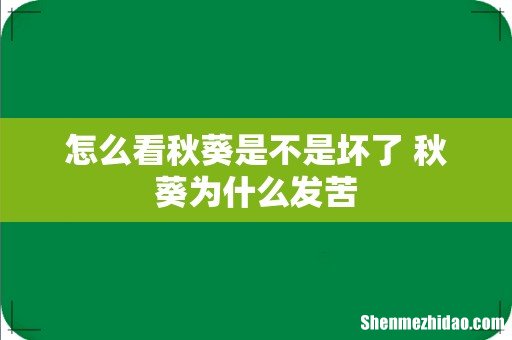 怎么看秋葵是不是坏了 秋葵为什么发苦
