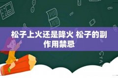 松子上火还是降火 松子的副作用禁忌