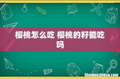樱桃怎么吃 樱桃的籽能吃吗