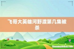 飞哥大英雄河野渡第几集被杀