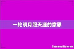 一轮明月照天涯的意思
