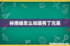林雨峰怎么知道有丁元英