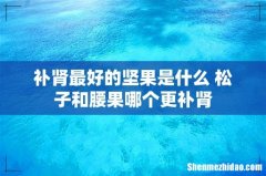 补肾最好的坚果是什么 松子和腰果哪个更补肾