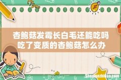 杏鲍菇发霉长白毛还能吃吗 吃了变质的杏鲍菇怎么办