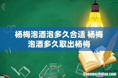 杨梅泡酒泡多久合适 杨梅泡酒多久取出杨梅