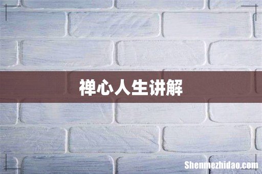 禅心人生讲解