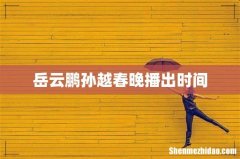 岳云鹏孙越春晚播出时间