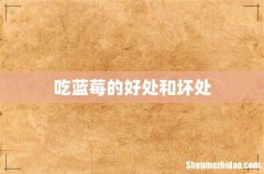 吃蓝莓的好处和坏处