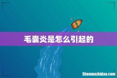 毛囊炎是怎么引起的