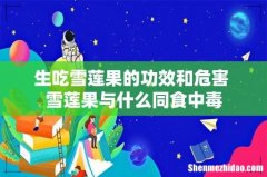 生吃雪莲果的功效和危害 雪莲果与什么同食中毒