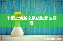 半藏上海龙之队皮肤怎么获得