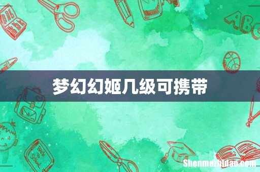 梦幻幻姬几级可携带