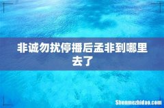 非诚勿扰停播后孟非到哪里去了