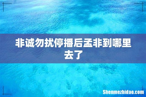 非诚勿扰停播后孟非到哪里去了