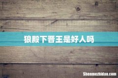 狼殿下晋王是好人吗