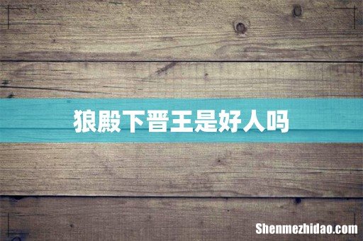 狼殿下晋王是好人吗