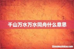 千山万水万水同舟什么意思
