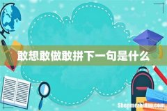 敢想敢做敢拼下一句是什么