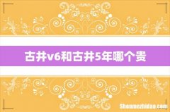 古井v6和古井5年哪个贵
