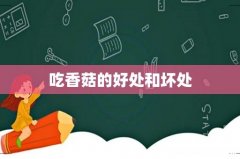 吃香菇的好处和坏处