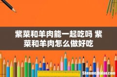 紫菜和羊肉能一起吃吗 紫菜和羊肉怎么做好吃