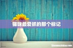 猫咪最爱抓的那个标记