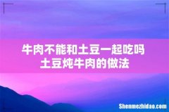 牛肉不能和土豆一起吃吗 土豆炖牛肉的做法