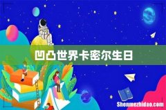 凹凸世界卡密尔生日