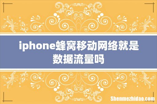 iphone蜂窝移动网络就是数据流量吗
